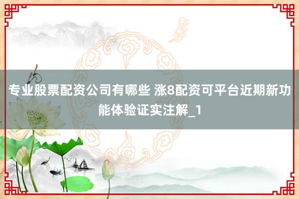 专业股票配资公司有哪些 涨8配资可平台近期新功能体验证实注解_1
